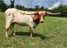 MM AccelerateYour Profit