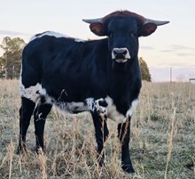 Easy Like Sunday Mornin