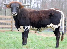 Easy Like Sunday Mornin